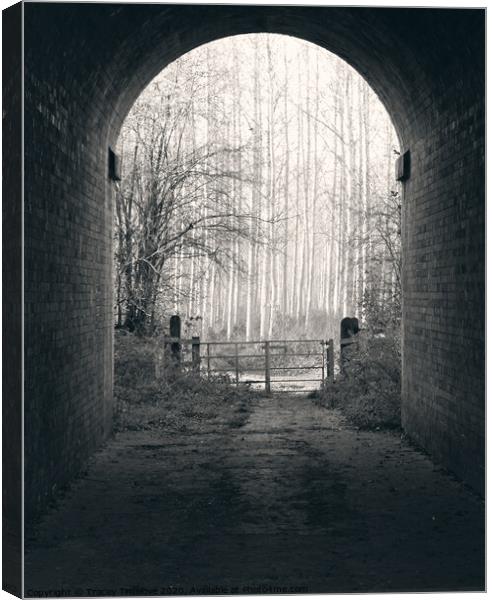 Arch Way Canvas Print by Tracey Truelove