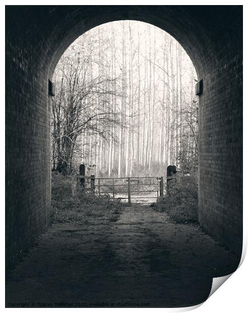 Arch Way Print by Tracey Truelove