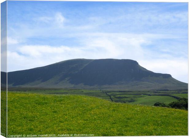 Sunny day, Pen y Ghent, Horton in Ribblesdale uk  Canvas Print by andrew morrell
