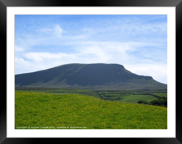 Sunny day, Pen y Ghent, Horton in Ribblesdale uk  Framed Mounted Print by andrew morrell