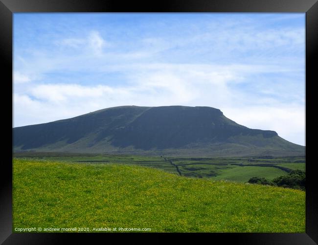 Sunny day, Pen y Ghent, Horton in Ribblesdale uk  Framed Print by andrew morrell