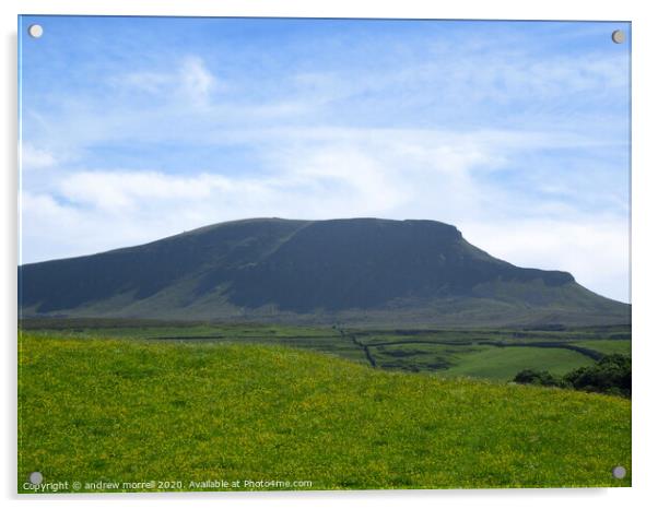 Sunny day, Pen y Ghent, Horton in Ribblesdale uk  Acrylic by andrew morrell