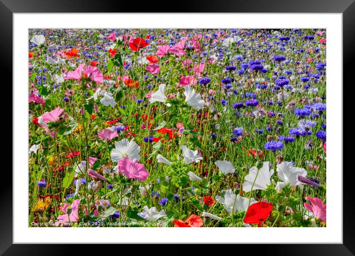 Colourful Wildflower Meadow Framed Mounted Print by Steve H Clark