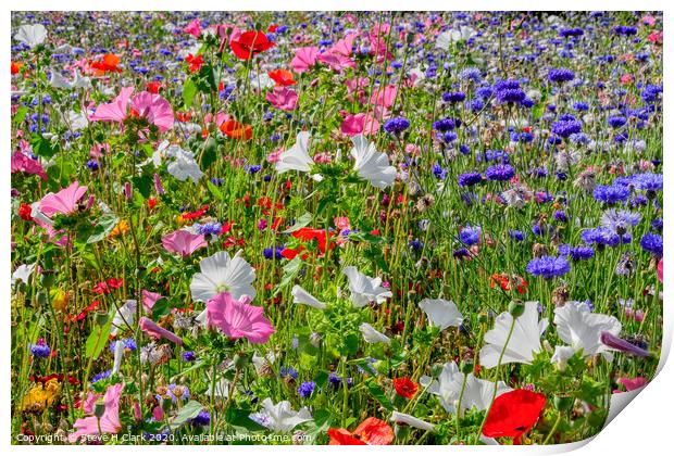 Colourful Wildflower Meadow Print by Steve H Clark