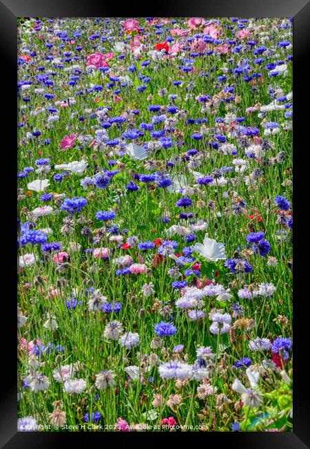 Wildflower Meadow Framed Print by Steve H Clark
