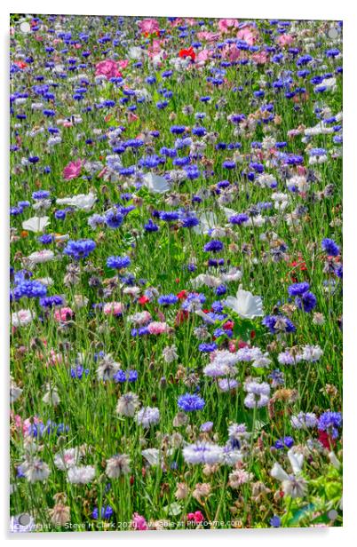 Wildflower Meadow Acrylic by Steve H Clark