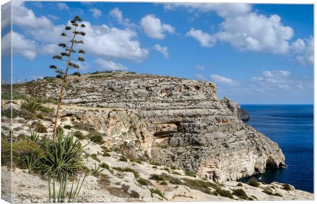 The Blue Grotto on the island of Malta  Canvas Print by Diana Mower