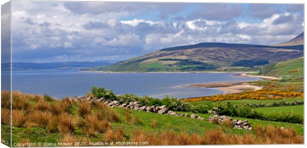 The Isle of Arran  in Spring  Canvas Print by Diana Mower