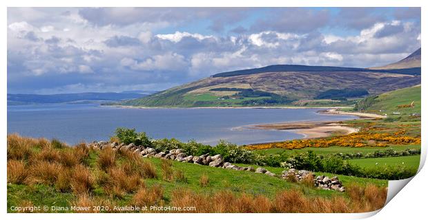 The Isle of Arran  in Spring  Print by Diana Mower