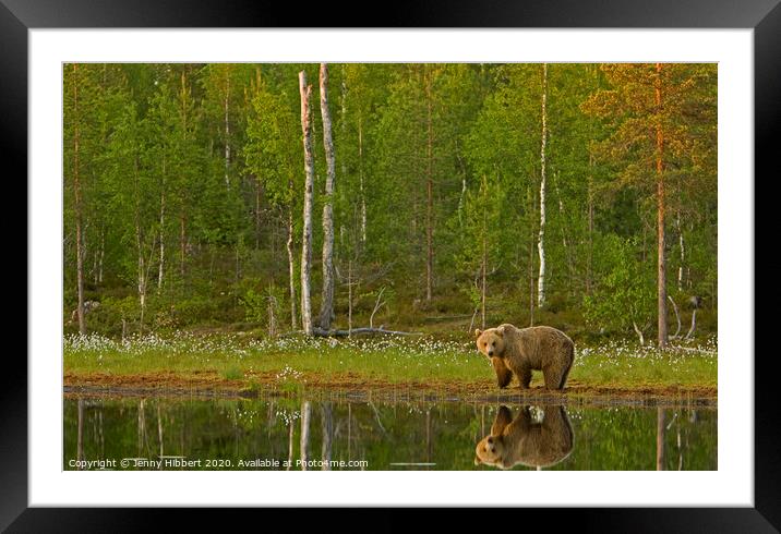 Brown bear standing next to lake Framed Mounted Print by Jenny Hibbert