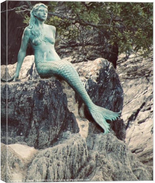 Mermaids Imagination  Canvas Print by David Bennett