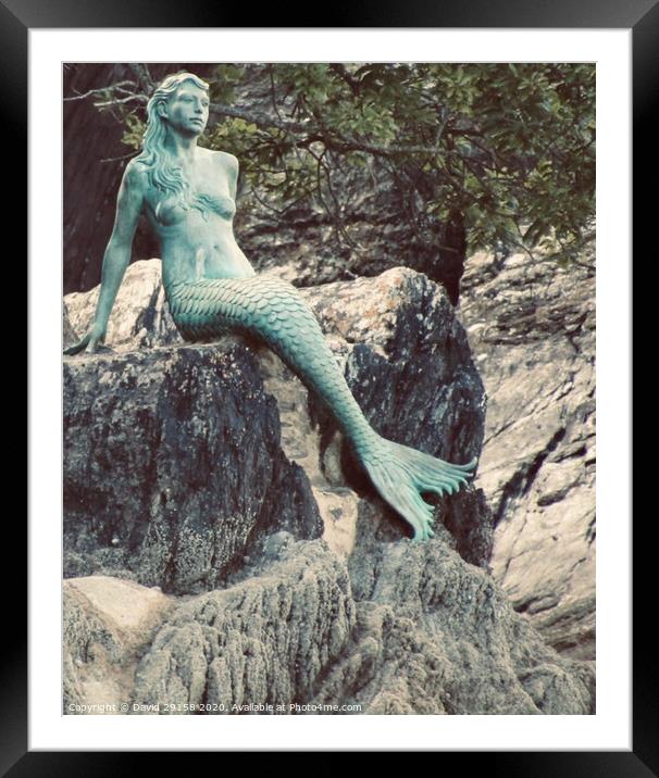 Mermaids Imagination  Framed Mounted Print by David Bennett