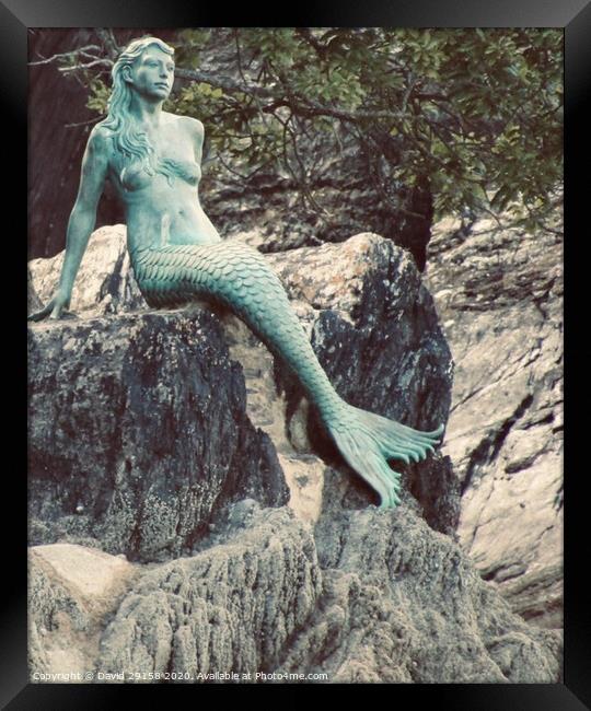 Mermaids Imagination  Framed Print by David Bennett