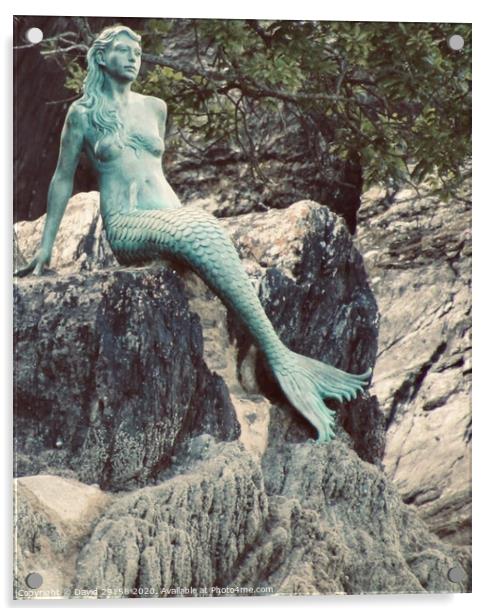 Mermaids Imagination  Acrylic by David Bennett