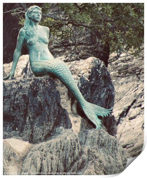 Mermaids Imagination  Print by David Bennett