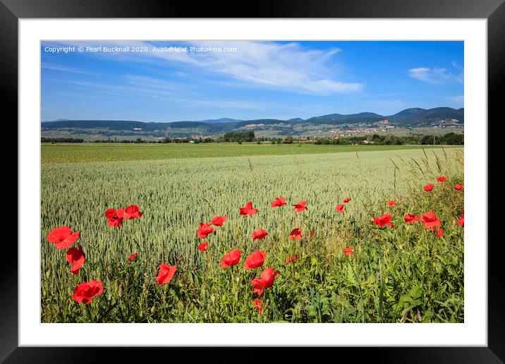 Alsace Countryside in Summer France Framed Mounted Print by Pearl Bucknall
