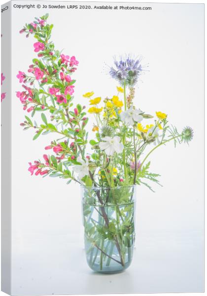 Wild Flowers Canvas Print by Jo Sowden