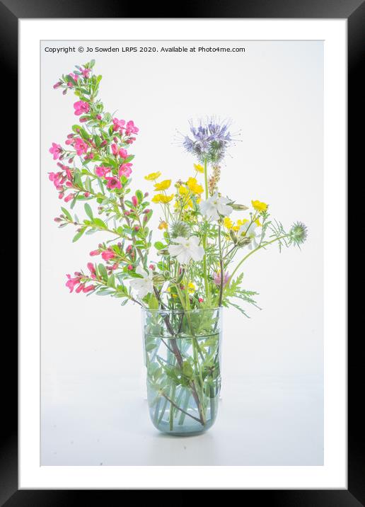 Wild Flowers Framed Mounted Print by Jo Sowden