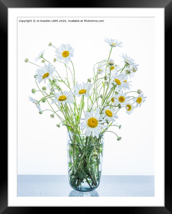 Vase of Daisies Framed Mounted Print by Jo Sowden