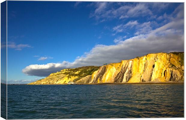Coloured Sands at the Needles - Isle of Wight Canvas Print by Jeremy Hayden