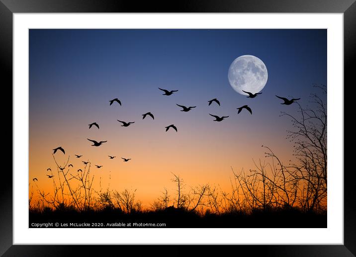 Majestic Seagulls Soaring at Twilight Framed Mounted Print by Les McLuckie