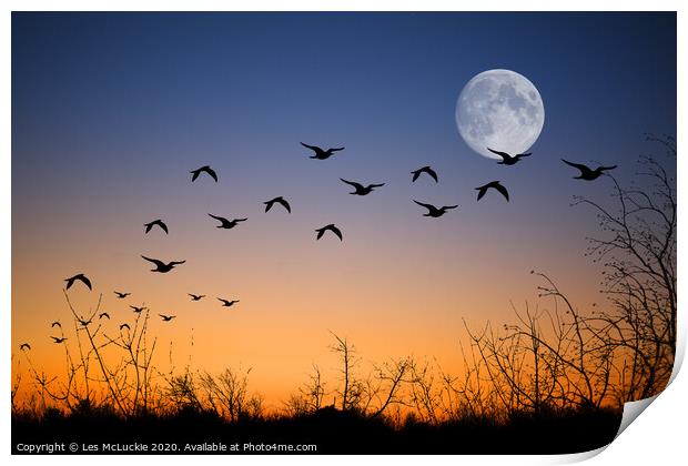 Majestic Seagulls Soaring at Twilight Print by Les McLuckie
