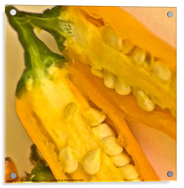 Abstract digital art of sweetcorn. #1. Part of a set. Acrylic by Peter Bolton