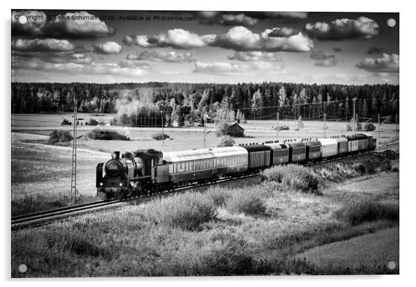 Steam Train Travels Through Countryside  Acrylic by Taina Sohlman