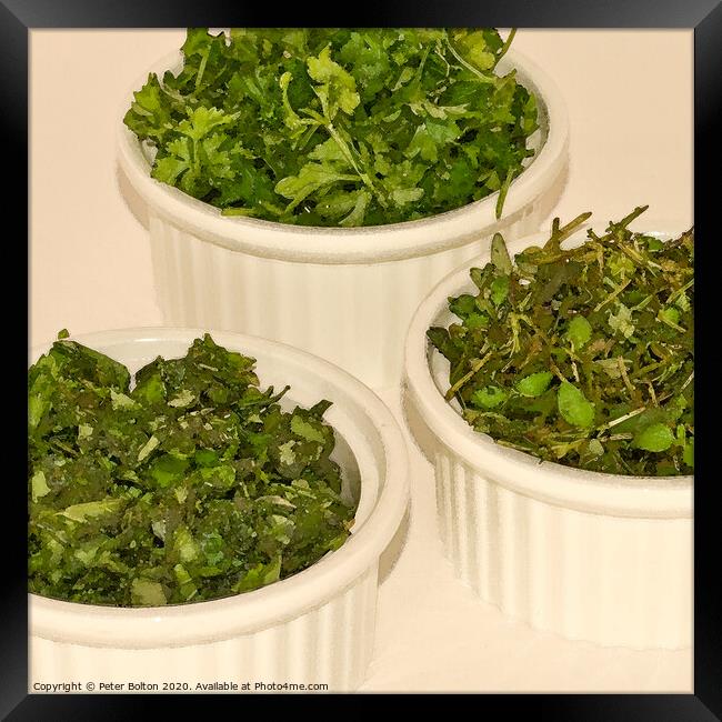 Abstract image of herbs in small pots. Square format. #2 Part of a set Framed Print by Peter Bolton