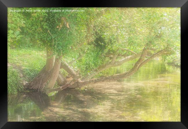 River Wye, High Wycombe, Bucks. one Summer Framed Print by Peter Jones