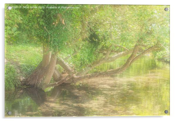 River Wye, High Wycombe, Bucks. one Summer Acrylic by Peter Jones