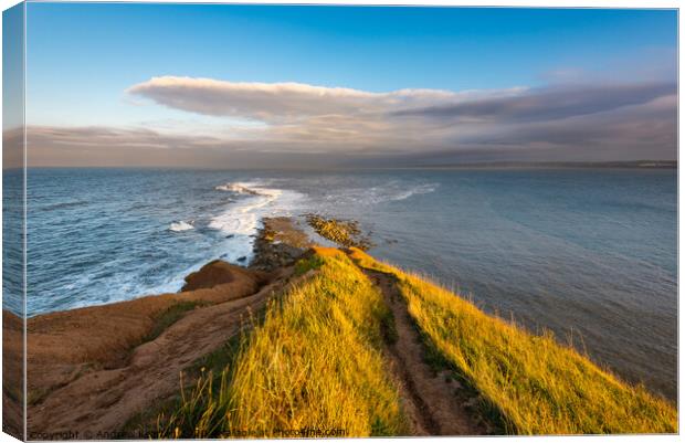 Filey Brigg, North Yorkshire Canvas Print by Andrew Kearton