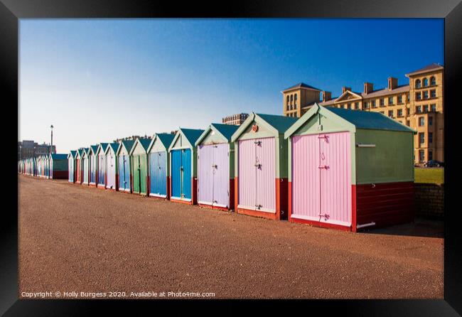 Vibrant Retreat: Brighton Beach Huts Framed Print by Holly Burgess