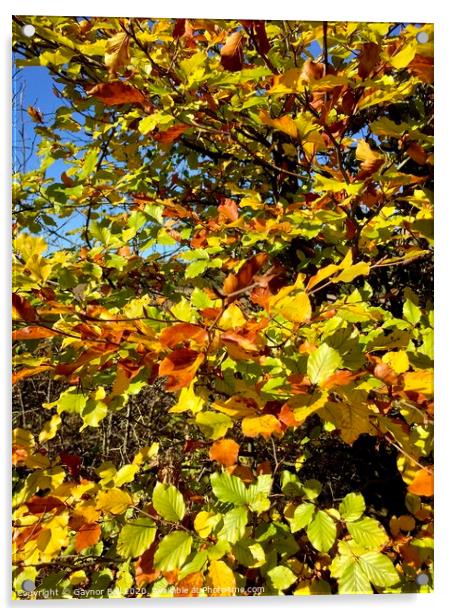 The Autumn leaves Acrylic by Gaynor Ball