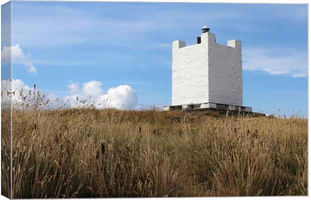 Isle of Whithorn Tower, Galloway, Scotland Canvas Print by Imladris 