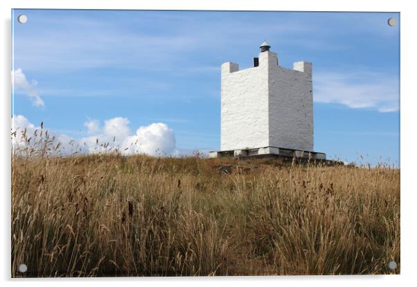 Isle of Whithorn Tower, Galloway, Scotland Acrylic by Imladris 