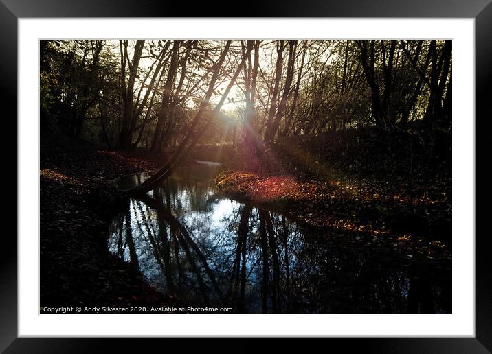 Welton Vale  Framed Mounted Print by Andy Silvester