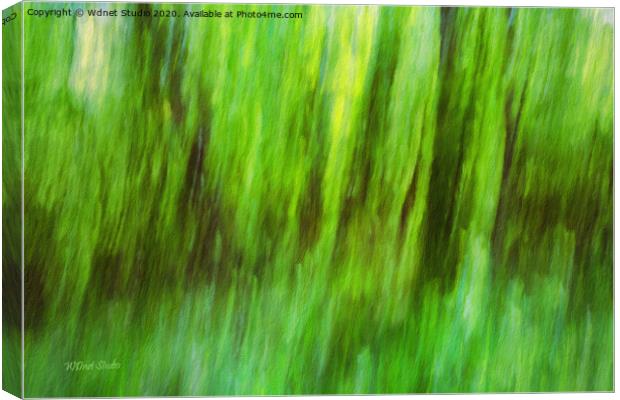 Natural abstract forest artwork Canvas Print by Wdnet Studio