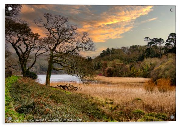 Cornwall Penrose Helston,sunset Acrylic by kathy white
