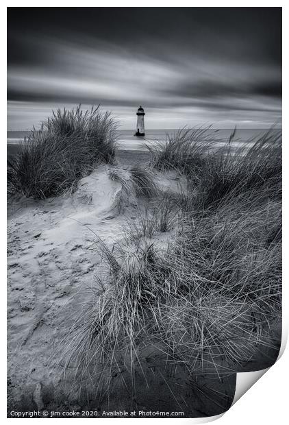 Through the Dunes Print by jim cooke