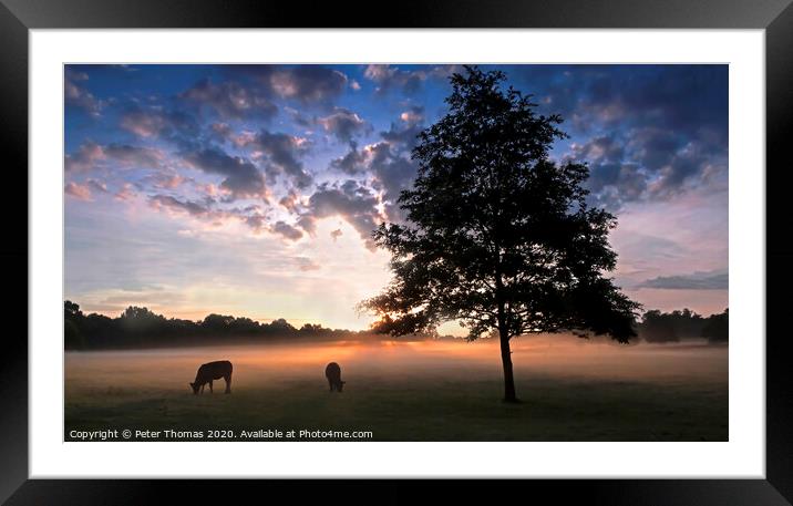 Majestic Sunrise at Merthyr Mawr Framed Mounted Print by Peter Thomas