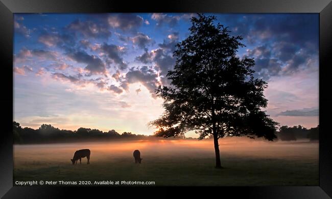 Majestic Sunrise at Merthyr Mawr Framed Print by Peter Thomas