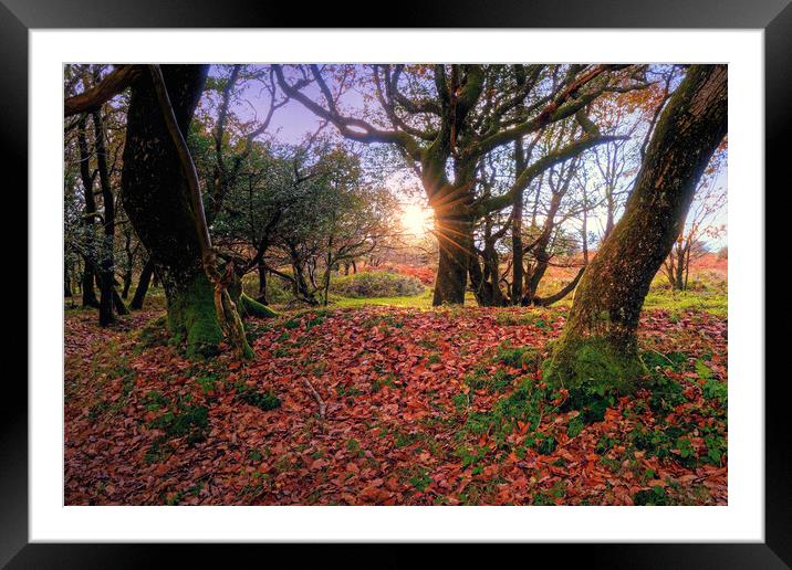 Quantock Hills Sunset Somerset Framed Mounted Print by austin APPLEBY