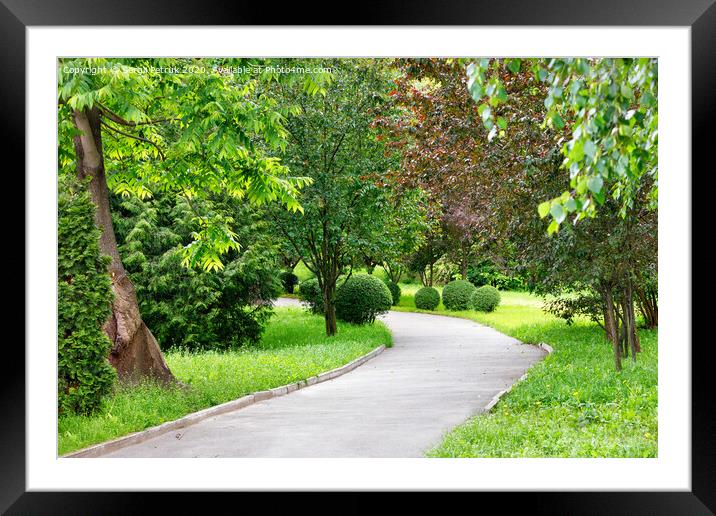A winding asphalt road for pedestrians through a park with many beautiful decorative bushes and trees. Framed Mounted Print by Sergii Petruk