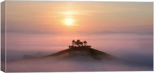 Colmer's Hill Panoramic Crop Canvas Print by David Neighbour