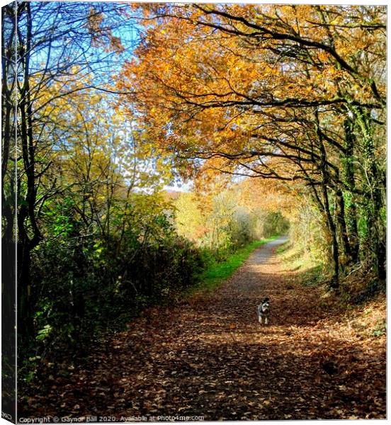 Autumn walk. Canvas Print by Gaynor Ball