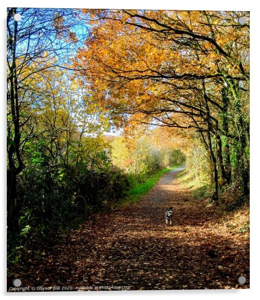 Autumn walk. Acrylic by Gaynor Ball