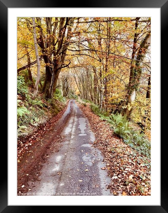 The path through autumn woods at Margam, South Wales. Framed Mounted Print by Gaynor Ball