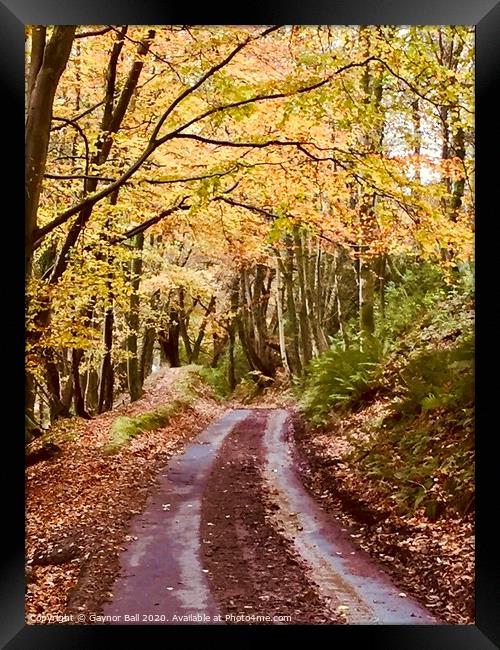 Autumn colours at Margam, South Wales. Framed Print by Gaynor Ball