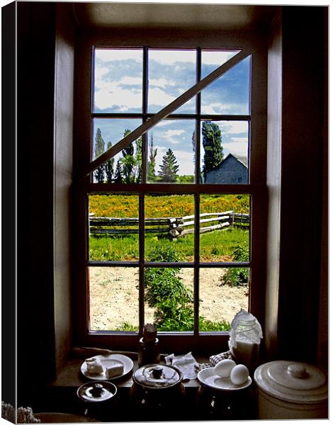 Garden Window Canvas Print by Mark Sellers